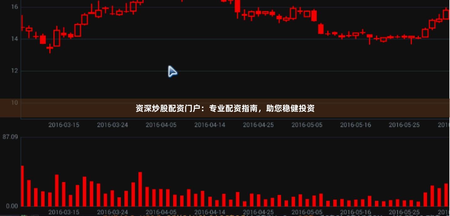 资深炒股配资门户：专业配资指南，助您稳健投资
