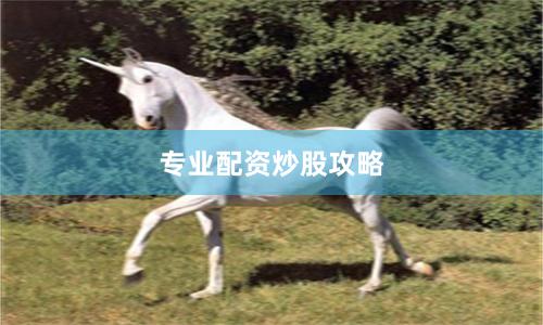专业配资炒股攻略
